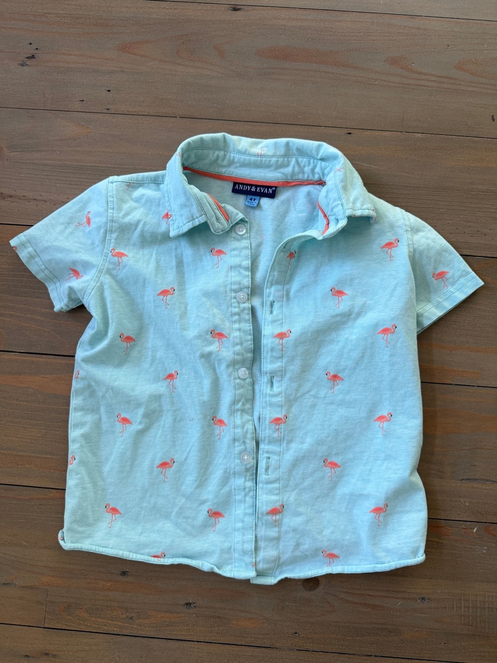 Andy & Evan Light Blue Flamingo Button-Up Shirt for Kids - 4T